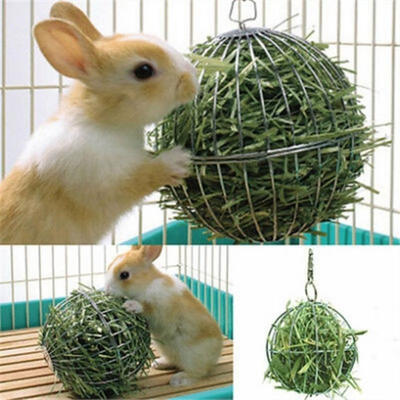 Fashion Sphere Feed Dispense Exercise Hanging Hay Ball Guinea Pig Hamster Rabbit Pet Toy no grass
Fashion Sphere Feed Dispense Exercise Hanging Hay Ball Guinea Pig Hamster Rabbit Pet Toy no grass
