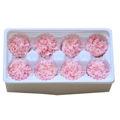 Handmade Preserved Fresh Flowers Gift Pack Immortal Flower Eternal Carnation Heads for Gift
Handmade Preserved Fresh Flowers Gift Pack Immortal Flower Eternal Carnation Heads for Gift