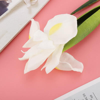 Greensen 1pcs Artificial Irish Flower Home Decoration Needle Flower Home Decoration Home Decor
Greensen 1pcs Artificial Irish Flower Home Decoration Needle Flower Home Decoration Home Decor