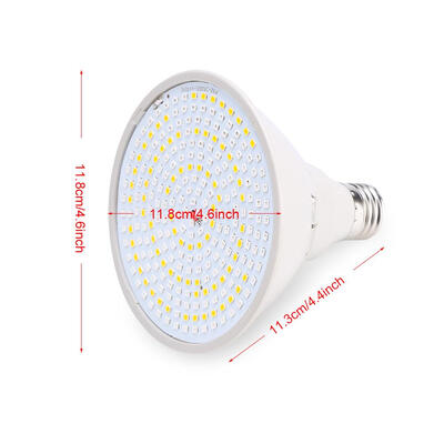 3 Colors LED Skin Rejuvenation Light Professional Therapy Acne Wrinkle Removal Face Body Care Acne Removal Light Face Care Light
3 Colors LED Skin Rejuvenation Light Professional Therapy Acne Wrinkle Removal Face Body Care Acne Removal Light Face Care Light