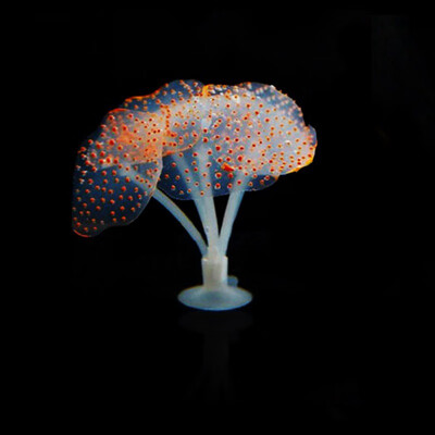 Glowing Artificial Jellyfishes Fish Tank Silicone Simulated Aquatic Plants Fluorescent Vivid Jellyfish Aquarium Decoration
Glowing Artificial Jellyfishes Fish Tank Silicone Simulated Aquatic Plants Fluorescent Vivid Jellyfish Aquarium Decoration