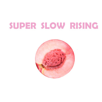 Gotoamei Cute Small Fruits Stress Reliever Scented Super Slow Rising Toy