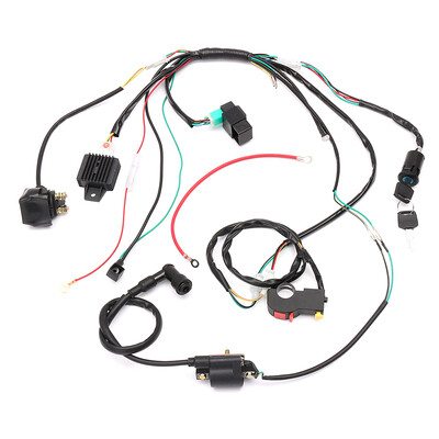 Complete Electric Start Engine Wiring Harness Loom Solenoid Coil Regulator 110 125cc Quad Bike ATV Buggy
Complete Electric Start Engine Wiring Harness Loom Solenoid Coil Regulator 110 125cc Quad Bike ATV Buggy