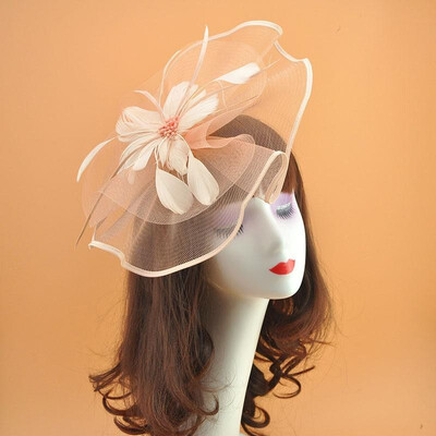 Women Fascinator Hat Feather Mesh Net Veil Party Hat Flower Derby Hat Headwear with Clip&Hairband
Women Fascinator Hat Feather Mesh Net Veil Party Hat Flower Derby Hat Headwear with Clip&Hairband