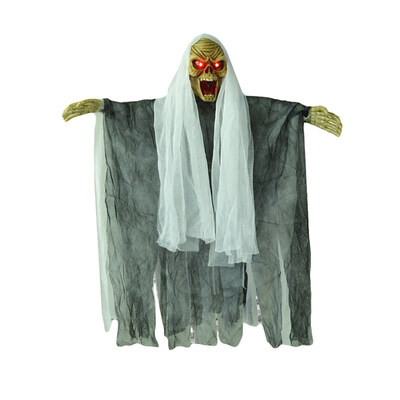 Halloween LED Sounding Floating Skeleton Witch Toy Haunted House Prank Props
Halloween LED Sounding Floating Skeleton Witch Toy Haunted House Prank Props