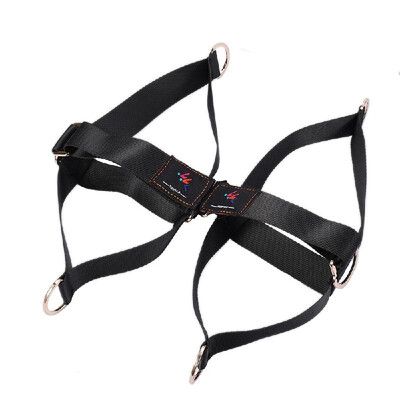 Kickback Ankle Resistance Fitness Crossfit Pull Belt Glute Leg Abdomen Exercise Strap Sports Gym Resistant Band Training Equipment
Kickback Ankle Resistance Fitness Crossfit Pull Belt Glute Leg Abdomen Exercise Strap Sports Gym Resistant Band Training Equipment