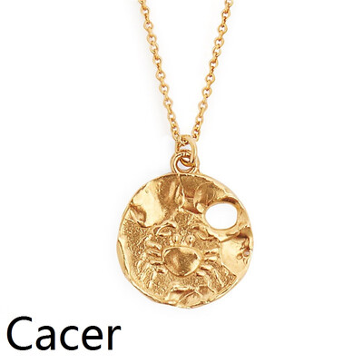 Star Zodiac Sign 12 Constellation Coin Necklaces & Pendants Choker Necklaces for Women Long Chain Necklace bijoux femme
Star Zodiac Sign 12 Constellation Coin Necklaces & Pendants Choker Necklaces for Women Long Chain Necklace bijoux femme
