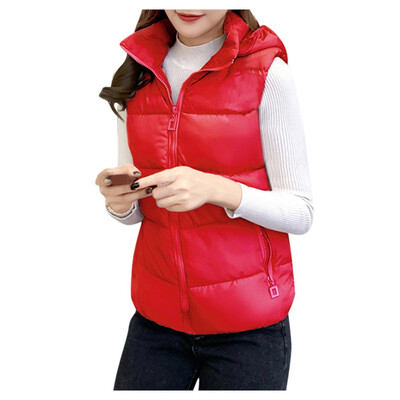 Toponeto 5 Colors Fashion Women Warm Solid Hooded Vest Cotton Short Jacket Coat Vest
Toponeto 5 Colors Fashion Women Warm Solid Hooded Vest Cotton Short Jacket Coat Vest