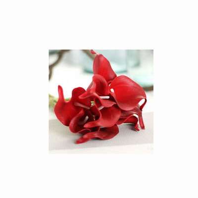 10pcs Calla Lily Bridal Wedding Bouquet head Latex Real Touch Flower Bouquets White
10pcs Calla Lily Bridal Wedding Bouquet head Latex Real Touch Flower Bouquets White