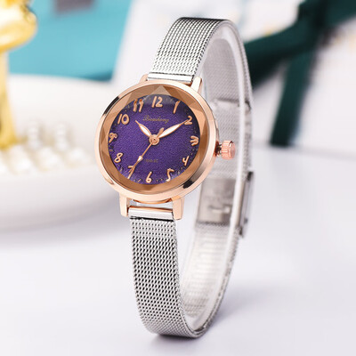 RM Stylish And Simple Matte Disk Digital Silver Mesh With Quartz Female Watch