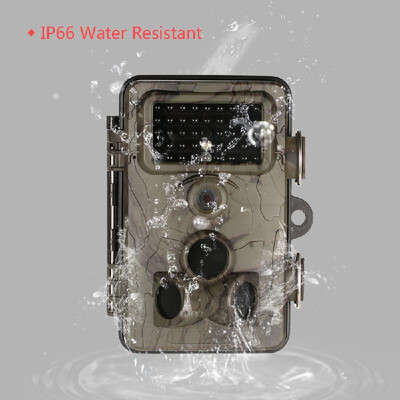 Outdoor & Camping Accessories Game And Trail Camera 12MP Full HD 1080P Time Lapse 65ft 120 Degree Wide Angle Infrared IR Night Vis
Outdoor & Camping Accessories Game And Trail Camera 12MP Full HD 1080P Time Lapse 65ft 120 Degree Wide Angle Infrared IR Night Vis