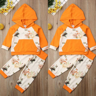 US Newborn Kids Baby Boy Girl Fox Flora Hoodie Tops Pants Casual Outfits Clothes
US Newborn Kids Baby Boy Girl Fox Flora Hoodie Tops Pants Casual Outfits Clothes