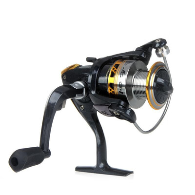 9BB Ball Bearings LeftRight Interchangeable Collapsible Handle Fishing Spinning Reel LJ2000 521
9BB Ball Bearings LeftRight Interchangeable Collapsible Handle Fishing Spinning Reel LJ2000 521