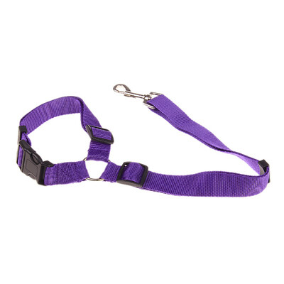 Nylon Pet Dog Collar Safety Dog Leash Pet Supplies Travel Safety Seat Belt Clip Lead Adjustable Safety Harness Auto Traction
Nylon Pet Dog Collar Safety Dog Leash Pet Supplies Travel Safety Seat Belt Clip Lead Adjustable Safety Harness Auto Traction
