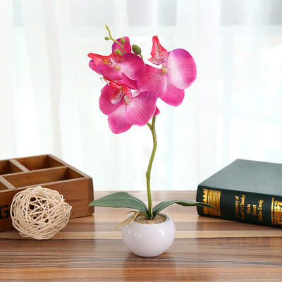 Toponeto Simulated Plant Bonsai Indoor Butterfly Orchid Bonsai Plants Elegance Tranquilit
Toponeto Simulated Plant Bonsai Indoor Butterfly Orchid Bonsai Plants Elegance Tranquilit