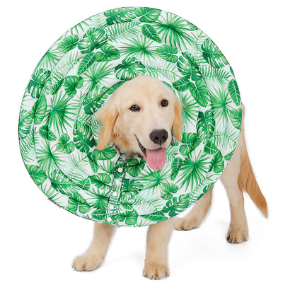 DogLemi Pet Dog Cat Recovery Collar Dog Surgery Cone Collar Pet Dog Anti-Bite Wound Collar
DogLemi Pet Dog Cat Recovery Collar Dog Surgery Cone Collar Pet Dog Anti-Bite Wound Collar