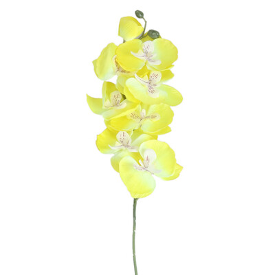 Fashion DIY Artificial Moth Orchid Wedding&Home Decoration