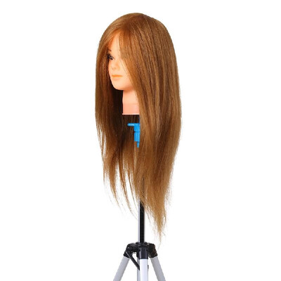 Hairdresser Training Practice Head Mannequin Head Real Hair Cosmetology Doll Head Manikin Head Practice Dummy Head Blonde
Hairdresser Training Practice Head Mannequin Head Real Hair Cosmetology Doll Head Manikin Head Practice Dummy Head Blonde