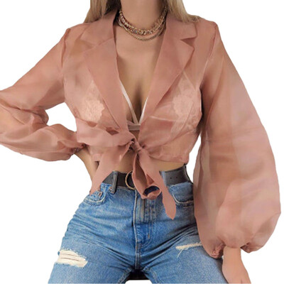 Womens Sheer Mesh Crop Top Ladies Girls Long Sleeve Deep V-Neck Stretchy T Shirt
Womens Sheer Mesh Crop Top Ladies Girls Long Sleeve Deep V-Neck Stretchy T Shirt