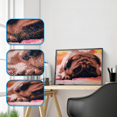 Siaonvr 5D Full Square Dirll Embroidery Paintings Rhinestone Pasted DIY Diamond Painting
Siaonvr 5D Full Square Dirll Embroidery Paintings Rhinestone Pasted DIY Diamond Painting