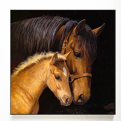 5D Diamond Painting horse Full Square Diamond Embroidery Sale Animal Diamond Mosaic Rhinestone Picture Decor Home Gift
5D Diamond Painting horse Full Square Diamond Embroidery Sale Animal Diamond Mosaic Rhinestone Picture Decor Home Gift