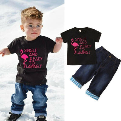 Flamingo Print T-shirts Outfits for Toddler Kids Boy Blue Jeans Pants Short Sleeve Tops Children Handsome Clothes 2 Pieces
Flamingo Print T-shirts Outfits for Toddler Kids Boy Blue Jeans Pants Short Sleeve Tops Children Handsome Clothes 2 Pieces
