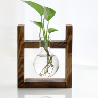 Toponeto Creative Hydroponic Plant Transparent Vase Wooden Frame Coffee Shop Room Decor
Toponeto Creative Hydroponic Plant Transparent Vase Wooden Frame Coffee Shop Room Decor