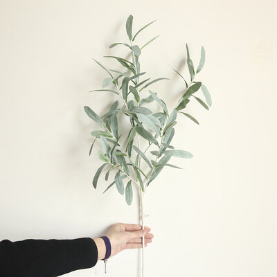 Gobestart Fake Artificial Olive Leaf Green Plant Branches Garland Party Home Vase Decor
Gobestart Fake Artificial Olive Leaf Green Plant Branches Garland Party Home Vase Decor