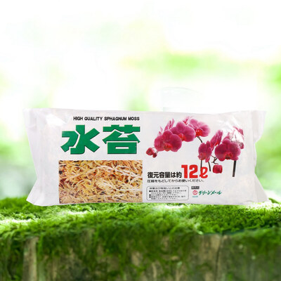 Garden Supplies Sphagnum Moss Moisturizing Nutrition Organic Fertilizer For Phalaenopsis Orchid Orchid Sphagnum Moss
Garden Supplies Sphagnum Moss Moisturizing Nutrition Organic Fertilizer For Phalaenopsis Orchid Orchid Sphagnum Moss
