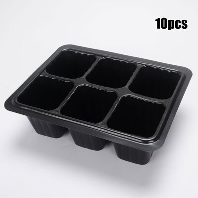 Seedling Tray Seed Starter With Dome And Base For Gardening Bonsai Multicapacity Process Planting Heat Preservation Moisture Nurse
Seedling Tray Seed Starter With Dome And Base For Gardening Bonsai Multicapacity Process Planting Heat Preservation Moisture Nurse