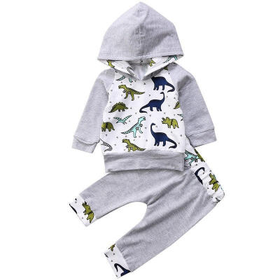 Newborn Infant Baby Boy Girl Dinosaur Hooded Tops Pants 2Pcs Outfits Set Clothes