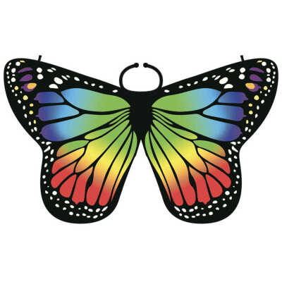 New Hot Children Girl Colorful Cloak Butterfly Cape Scarf Monarch Butterfly Cloak Wing Decoration Festive Party Supplies
New Hot Children Girl Colorful Cloak Butterfly Cape Scarf Monarch Butterfly Cloak Wing Decoration Festive Party Supplies