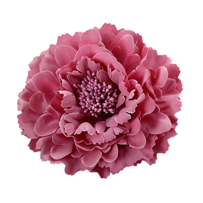 〖Follure〗Flower Peony Hair Clips Wedding Bridal Bridesmaid Prom Festival Hairpin Brooch
〖Follure〗Flower Peony Hair Clips Wedding Bridal Bridesmaid Prom Festival Hairpin Brooch