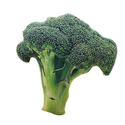 Siaonvr 3D Soft Pillow Plush Cushion Broccoli Seat Green Pads Decor
