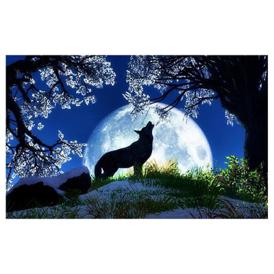 DIY Diamond Painting Sets Different Shape Diamond Drawing Cross Stitch Wall Decorative Color Cat 30x25cm
DIY Diamond Painting Sets Different Shape Diamond Drawing Cross Stitch Wall Decorative Color Cat 30x25cm