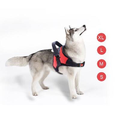 Pets Dog Vest Harness No-Pull Design Best Reflective Adjustable Nylon Harness Easy Control for Medium Large Dogs Puppies
Pets Dog Vest Harness No-Pull Design Best Reflective Adjustable Nylon Harness Easy Control for Medium Large Dogs Puppies