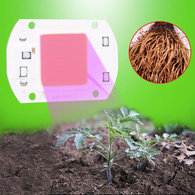 1Pc AC220V 30W Full Spectrum Led COB Chip Grow Light Growth Lamp for Garden Hydroponic PlantCOB Grow LightLed Grow Light
1Pc AC220V 30W Full Spectrum Led COB Chip Grow Light Growth Lamp for Garden Hydroponic PlantCOB Grow LightLed Grow Light