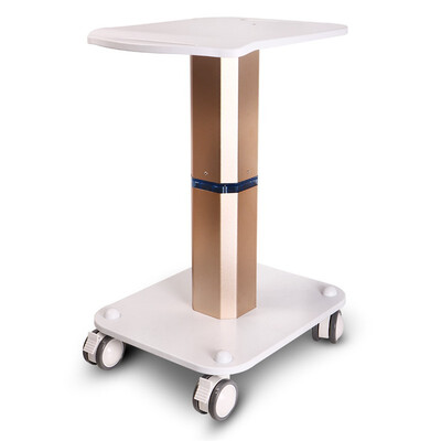 4Models Trolley Stand Cart Assembled For Ultrasonic Cavitation RF Massage Beauty Machine
4Models Trolley Stand Cart Assembled For Ultrasonic Cavitation RF Massage Beauty Machine