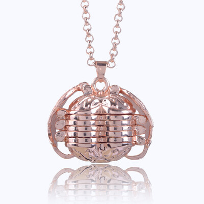 Hot Magic 5 Photo Pendant Memory Floating Locket Necklace Angel Wings Flash Box Fashion Album Box Necklaces
Hot Magic 5 Photo Pendant Memory Floating Locket Necklace Angel Wings Flash Box Fashion Album Box Necklaces