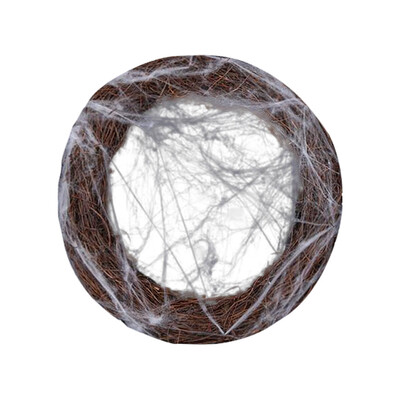 Toponeto Halloween Decoration Pendant Spider Silk Circle Scene Layout Ornaments Garland
Toponeto Halloween Decoration Pendant Spider Silk Circle Scene Layout Ornaments Garland