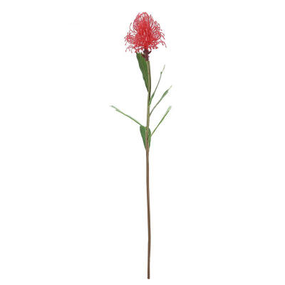 Greensen Simulation Plastic Pin Cushion Flower Home Decoration Needle Flower Home Decoration
Greensen Simulation Plastic Pin Cushion Flower Home Decoration Needle Flower Home Decoration