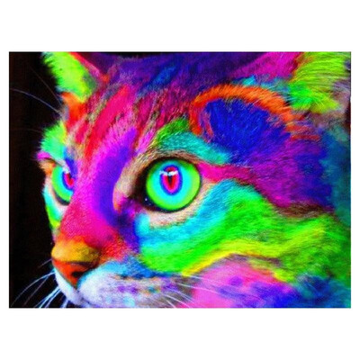 DIY Diamond Painting Sets Different Shape Diamond Drawing Cross Stitch Wall Decorative Color Cat 30x25cm
DIY Diamond Painting Sets Different Shape Diamond Drawing Cross Stitch Wall Decorative Color Cat 30x25cm