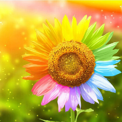 Sunflower 3d Full Embroidery100 Full Drill Diamond Painting Crafts Direct Selling Cotton Needlework Diy Diamond Painting Kit
Sunflower 3d Full Embroidery100 Full Drill Diamond Painting Crafts Direct Selling Cotton Needlework Diy Diamond Painting Kit