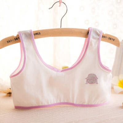 Kids Training Bra Underwear Cotton Teenage Bra Puberty Girl Running Yoga Bra Girl Sports Bra Soft Cotton Underwear 8-16T
Kids Training Bra Underwear Cotton Teenage Bra Puberty Girl Running Yoga Bra Girl Sports Bra Soft Cotton Underwear 8-16T