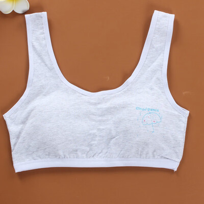 Kids Training Bra Underwear Cotton Teenage Bra Puberty Girl Running Yoga Bra Girl Sports Bra Soft Cotton Underwear 8-16T
Kids Training Bra Underwear Cotton Teenage Bra Puberty Girl Running Yoga Bra Girl Sports Bra Soft Cotton Underwear 8-16T