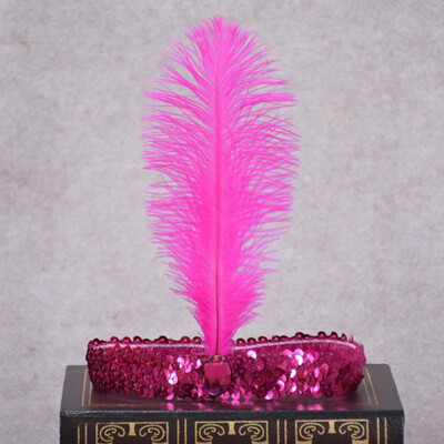 Multicolor Optional Fashion Flapper Feather Headdress Sequins Headband For Party Wedding
Multicolor Optional Fashion Flapper Feather Headdress Sequins Headband For Party Wedding