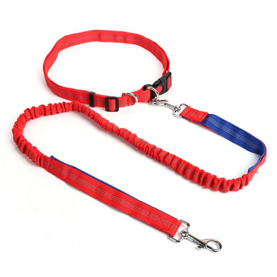Pet Dog Running Leashes Hands Freely Great for Walking dog leash Rope with reflective Jogging dog collars leash CL109
Pet Dog Running Leashes Hands Freely Great for Walking dog leash Rope with reflective Jogging dog collars leash CL109