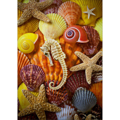 DIY Semi-finished Diamond Painting 5D Still Life Theme Starfish Hippocampus Conch Home Living Room Bedroom Office Decoration
DIY Semi-finished Diamond Painting 5D Still Life Theme Starfish Hippocampus Conch Home Living Room Bedroom Office Decoration