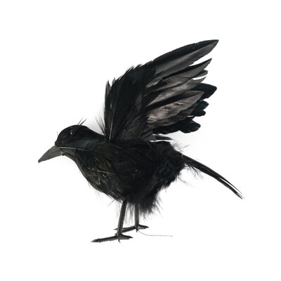Halloween Black Crow Props Halloween Party Crow Decoration Haunted House Cemetery Display Artificial Crow
Halloween Black Crow Props Halloween Party Crow Decoration Haunted House Cemetery Display Artificial Crow