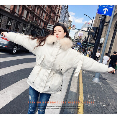Winter 2018 down jacket female big wool collar student bread jacket Korean version is thicker cotton clothes down coats
Winter 2018 down jacket female big wool collar student bread jacket Korean version is thicker cotton clothes down coats
